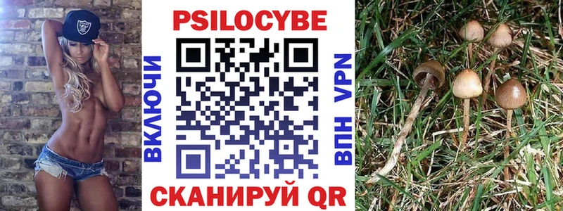 цены Ухта Псилоцибиновые грибы Magic Shrooms
