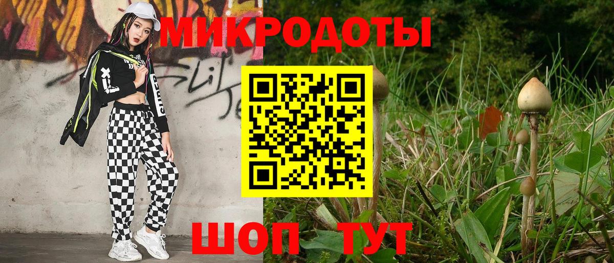 Псилоцибиновые грибы Cubensis Ухта