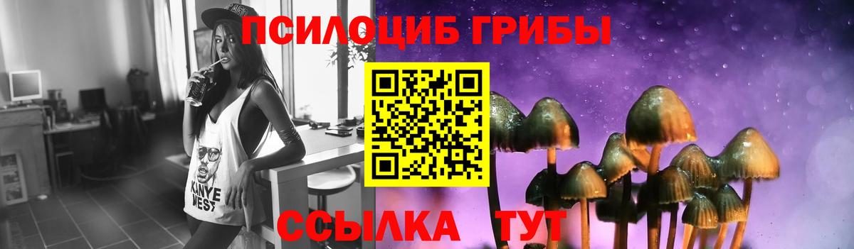 Псилоцибиновые грибы MAGIC MUSHROOMS  Вход с VPN  Ухта 