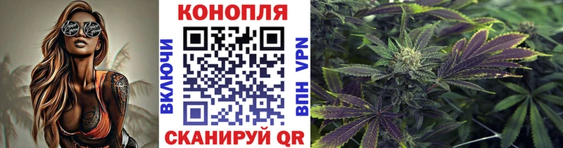Конопля Ganja  цены   Ухта 